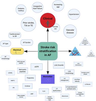 Stroke and Bleeding Risk Assessments in Patients With Atrial Fibrillation: Concepts and Controversies